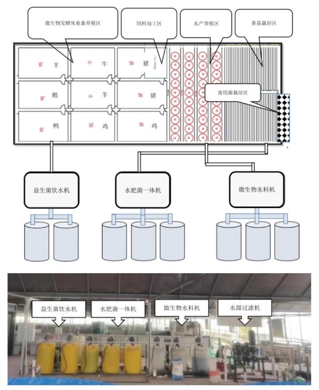 相似象学会誌　相似象　第１４号 轻奢系列-ZT1074